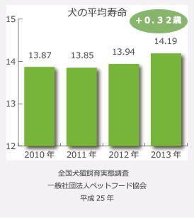 犬の平均寿命の表