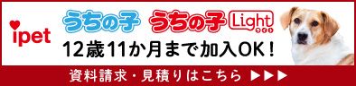 ipet保険のバナー画像