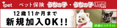 ipet保険のバナー画像