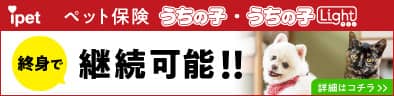 ipet保険のバナー画像
