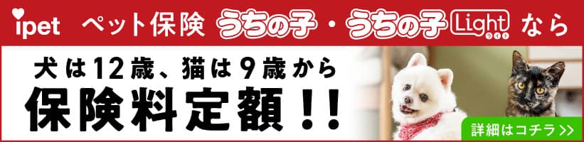 ipet保険のバナー画像