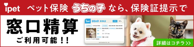 ipet保険のバナー画像