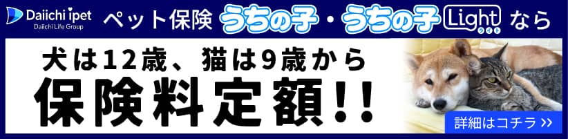 ipet保険のバナー画像