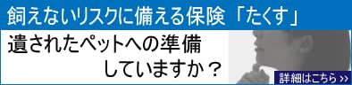たくすのバナー画像