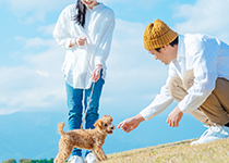 犬と飼い主さんの画像