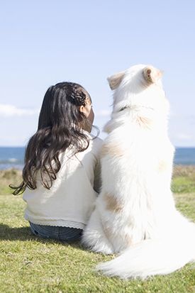 老犬と人間のイメージ