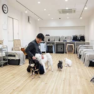 老犬ホームドッグライフプランナーズ新宿校