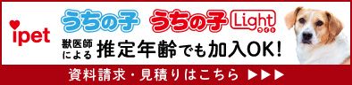 広告 老犬ケア 老犬ホーム 老猫ホーム情報サイト