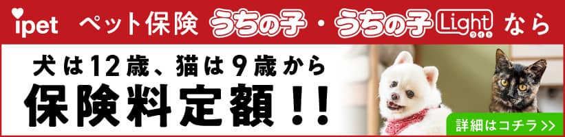 老犬でも入れるペット保険