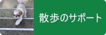 散歩のサポート