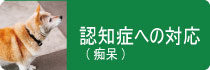 認知症(痴呆)への対応