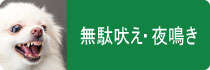 無駄吠え・夜鳴きへの対応