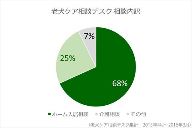 老犬ケア相談内訳