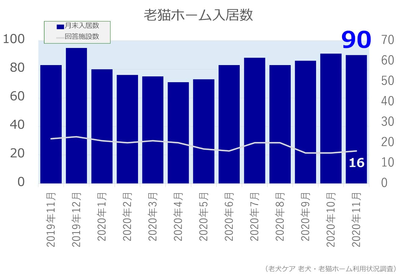 2020年11月分老猫ホーム入居数グラフ