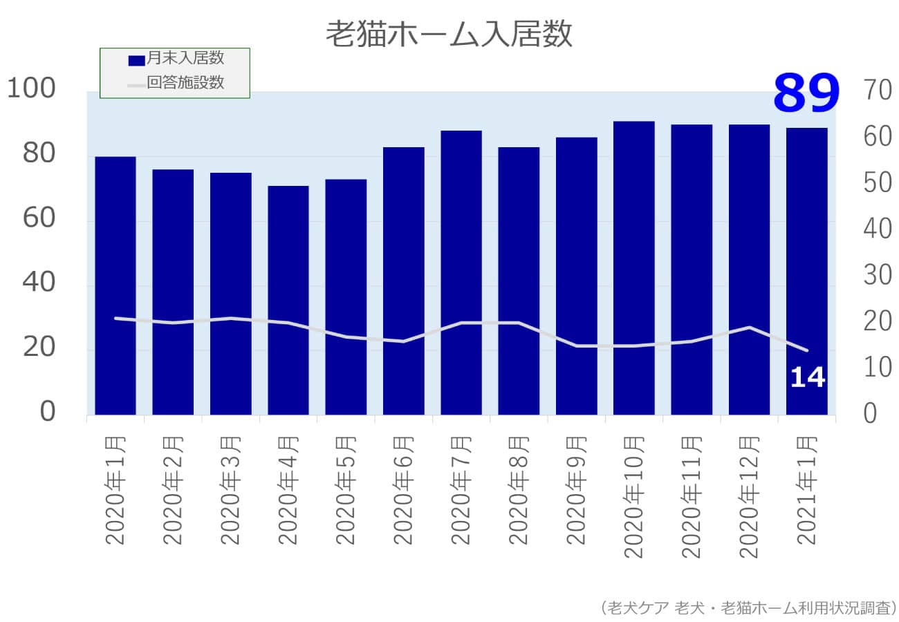 2021年1月分老猫ホーム入居数グラフ