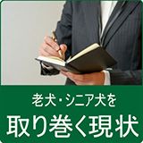 取り巻く現状