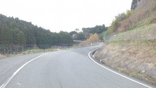 老犬ホームぱーとなー 散歩道