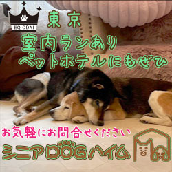 シニアDOGハイムバナー_250x250