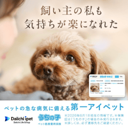 第一アイペット_ペット保険
