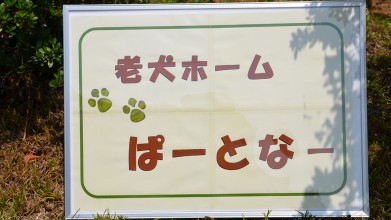 老犬ホームぱーとなー 看板