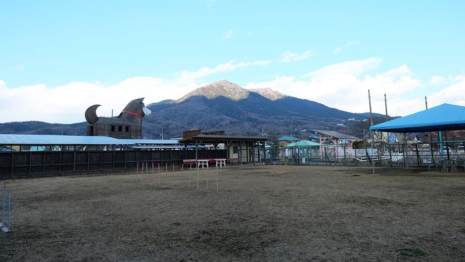 老犬老猫ホームひまわり 筑波山