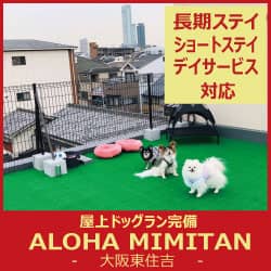 ALOHA MIMITAN バナー