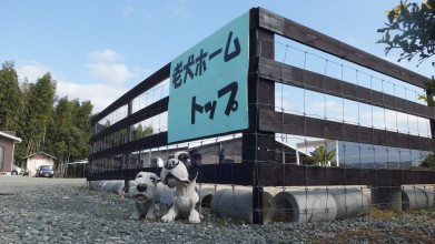 老犬ホームトップ 看板