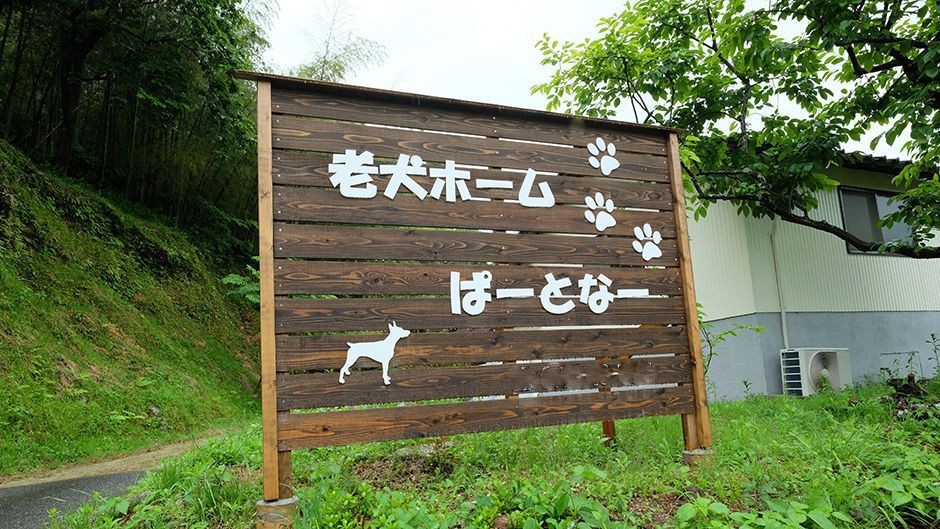 老犬ホームぱーとなー 看板