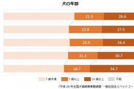 犬の年齢グラフ