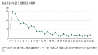 相談件数グラフ