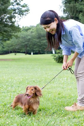 犬と人間