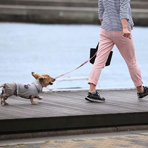 散歩のイメージ