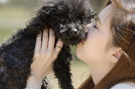 犬と女性のイメージ画像