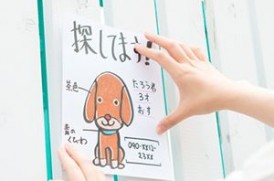 愛犬を探すイメージ画像