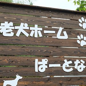 老犬ホームぱーとなー 看板