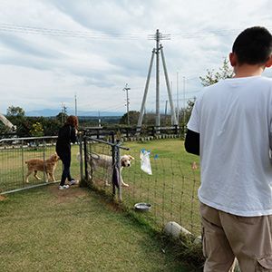 老犬ホームトップ 緒方心