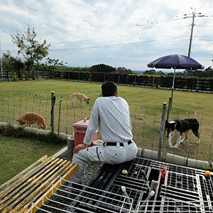 老犬ホームトップ 緒方利和