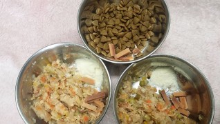 老犬ホームワンダーわんの食事