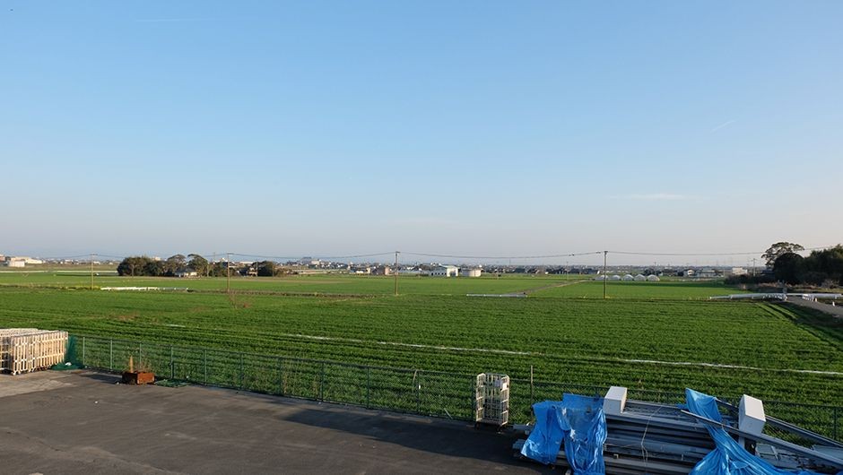 老犬ホームワンダーわん 周辺風景