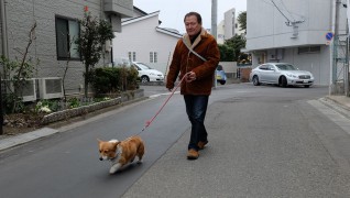 老犬・老猫ホームニャンワンクラブ お散歩