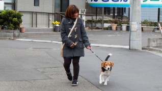 老犬・老猫ホームニャンワンクラブ お散歩