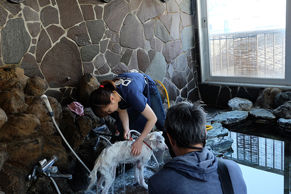 老犬ホーム水上温泉寶ホテルの取材風景