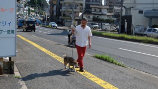 介護付老犬・老猫ホーム おりづる園散歩風景