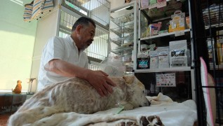 介護付老犬・老猫ホーム おりづる園介護風景