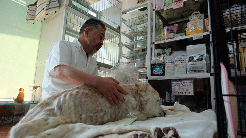 介護付老犬・老猫ホーム おりづる園介護風景