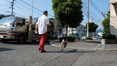 介護付老犬・老猫ホーム おりづる園散歩風景