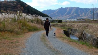 老犬ホームＪｉＪi散歩風景