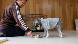 老犬ホームＪｉＪi食事風景