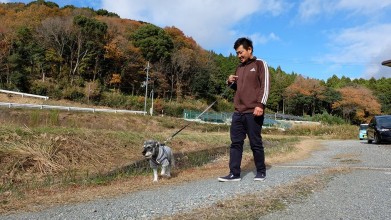 老犬ホームＪｉＪi散歩風景