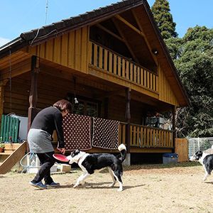 老犬ホームながらELLE 外観